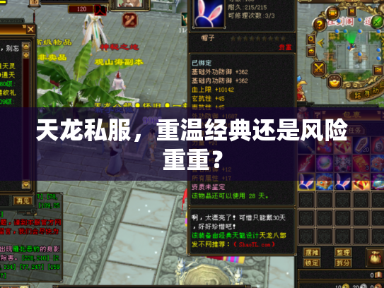 天龙私服，重温经典还是风险重重？