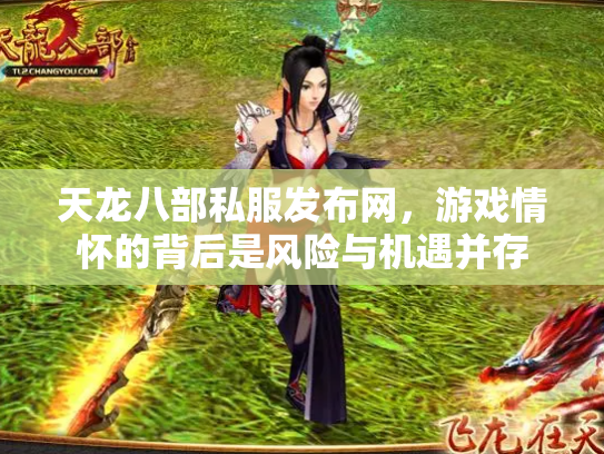 天龙八部私服发布网，游戏情怀的背后是风险与机遇并存