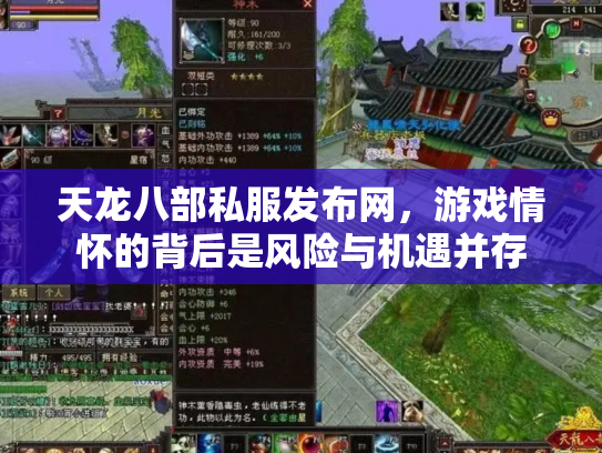 天龙八部私服发布网，游戏情怀的背后是风险与机遇并存