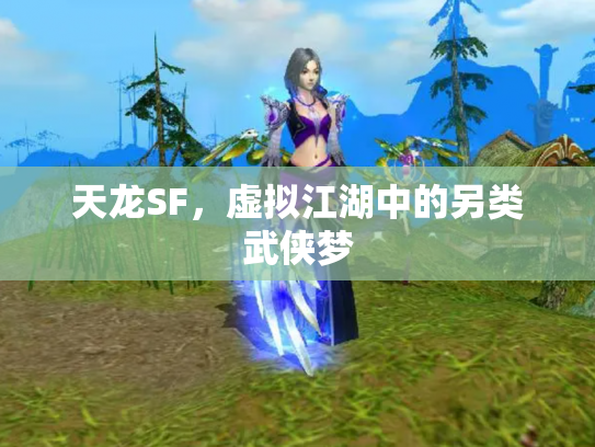 天龙SF，虚拟江湖中的另类武侠梦