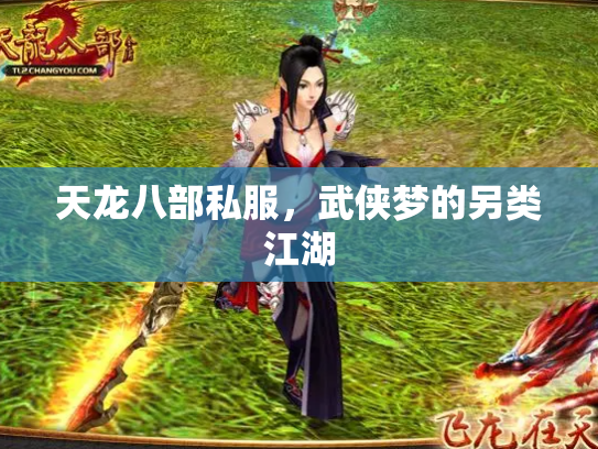 天龙八部私服，武侠梦的另类江湖