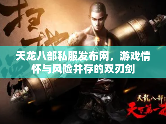 天龙八部私服发布网，游戏情怀与风险并存的双刃剑