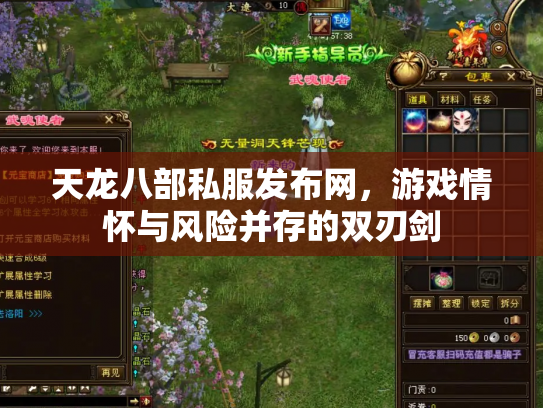 天龙八部私服发布网，游戏情怀与风险并存的双刃剑