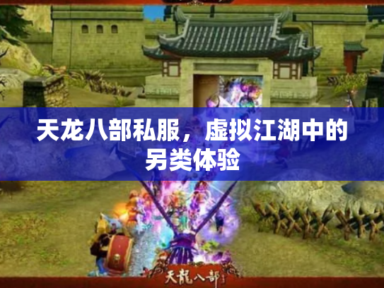 天龙八部私服，虚拟江湖中的另类体验