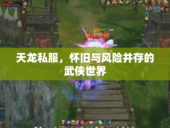 天龙私服，怀旧与风险并存的武侠世界