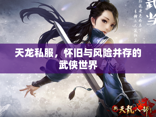 天龙私服，怀旧与风险并存的武侠世界