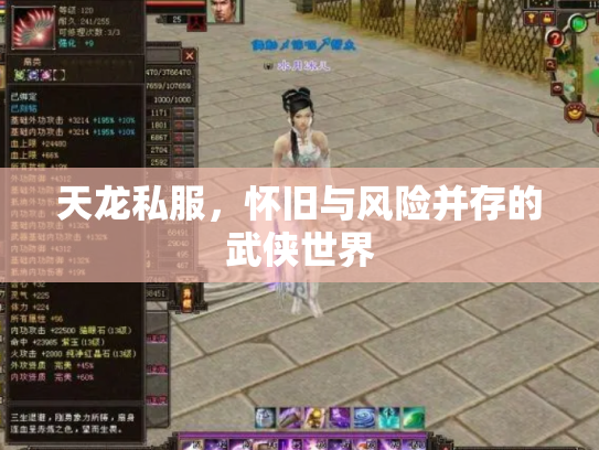 天龙私服，怀旧与风险并存的武侠世界