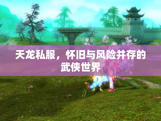 天龙私服，怀旧与风险并存的武侠世界