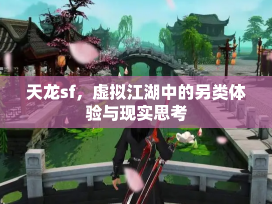 天龙sf，虚拟江湖中的另类体验与现实思考