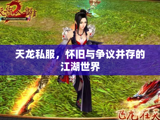 天龙私服，怀旧与争议并存的江湖世界