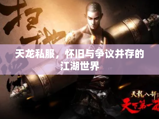 天龙私服，怀旧与争议并存的江湖世界