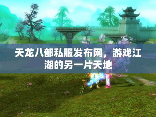 天龙八部私服发布网，游戏江湖的另一片天地