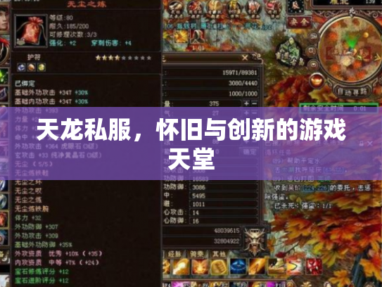天龙私服，怀旧与创新的游戏天堂