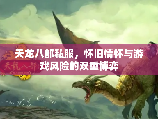 天龙八部私服，怀旧情怀与游戏风险的双重博弈
