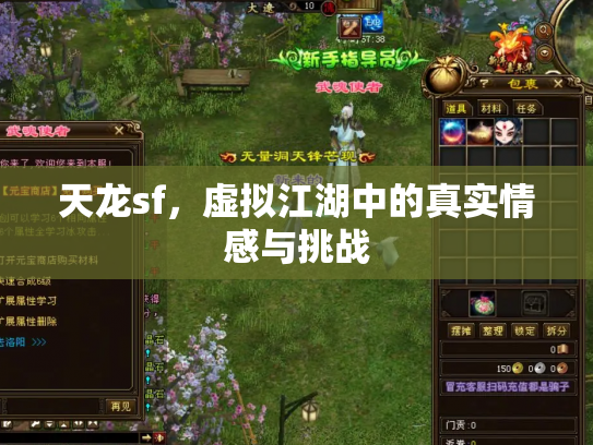 天龙sf，虚拟江湖中的真实情感与挑战