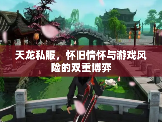 天龙私服，怀旧情怀与游戏风险的双重博弈