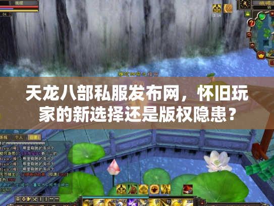 天龙八部私服发布网，怀旧玩家的新选择还是版权隐患？
