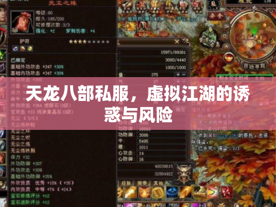 天龙八部私服，虚拟江湖的诱惑与风险