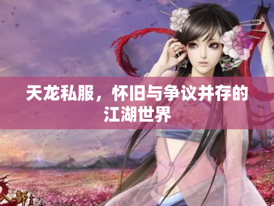 天龙私服，怀旧与争议并存的江湖世界