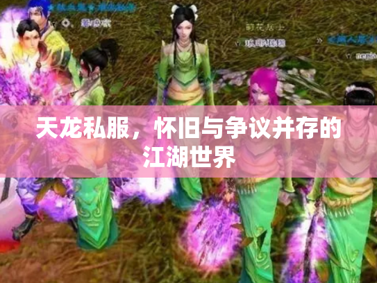 天龙私服，怀旧与争议并存的江湖世界