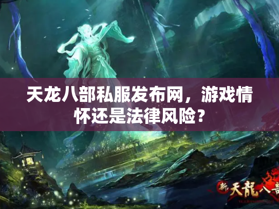 天龙八部私服发布网，游戏情怀还是法律风险？