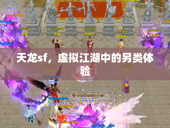 天龙sf，虚拟江湖中的另类体验