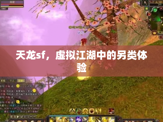 天龙sf，虚拟江湖中的另类体验