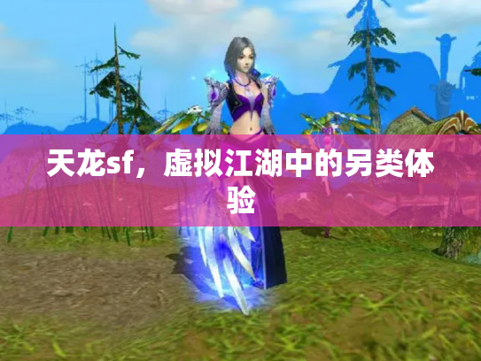 天龙sf，虚拟江湖中的另类体验