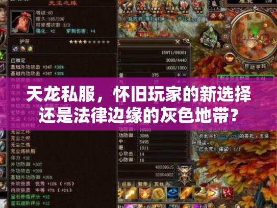 天龙私服，怀旧玩家的新选择还是法律边缘的灰色地带？