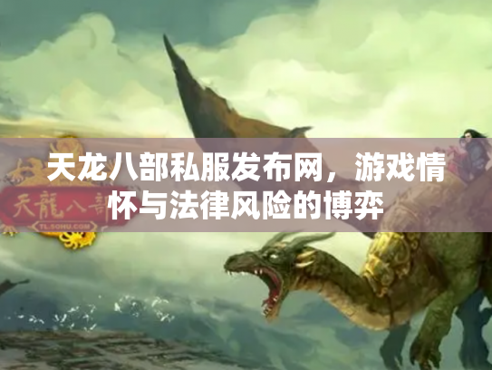 天龙八部私服发布网，游戏情怀与法律风险的博弈