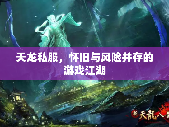 天龙私服，怀旧与风险并存的游戏江湖