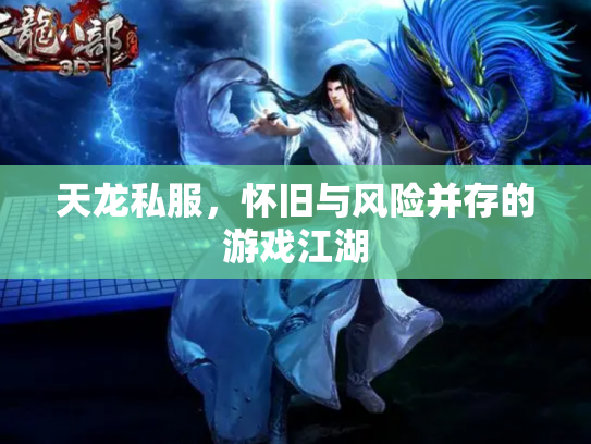 天龙私服，怀旧与风险并存的游戏江湖