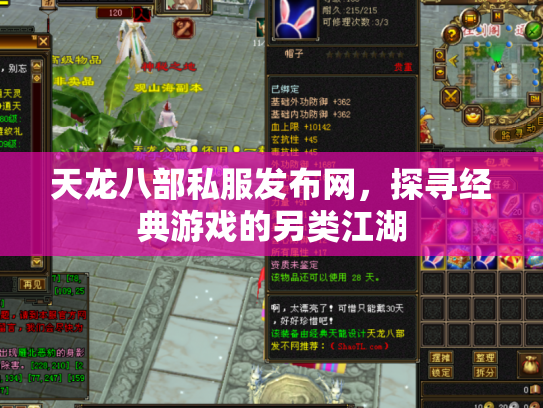 天龙八部私服发布网，探寻经典游戏的另类江湖