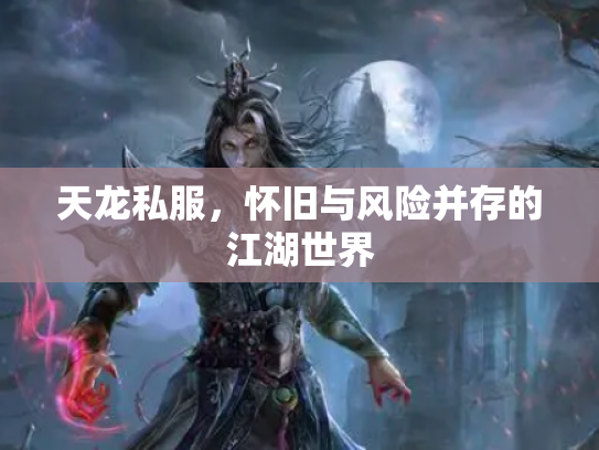 天龙私服，怀旧与风险并存的江湖世界