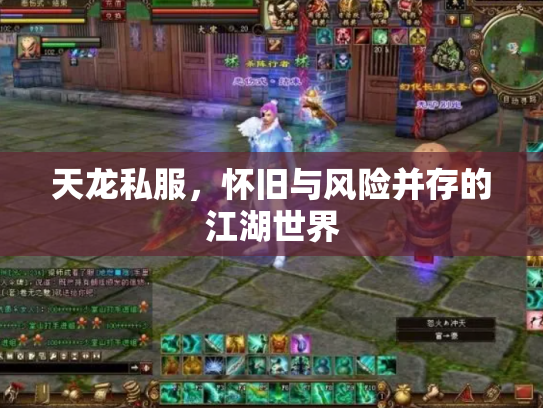 天龙私服，怀旧与风险并存的江湖世界
