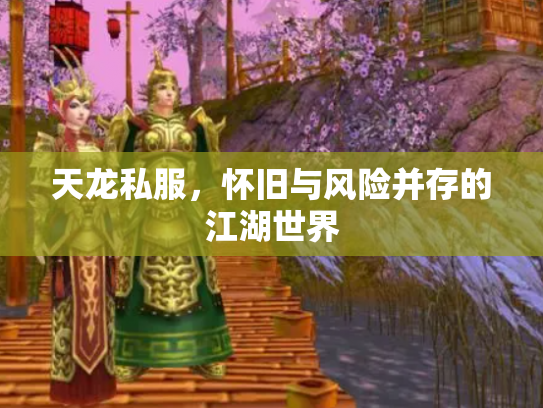 天龙私服，怀旧与风险并存的江湖世界