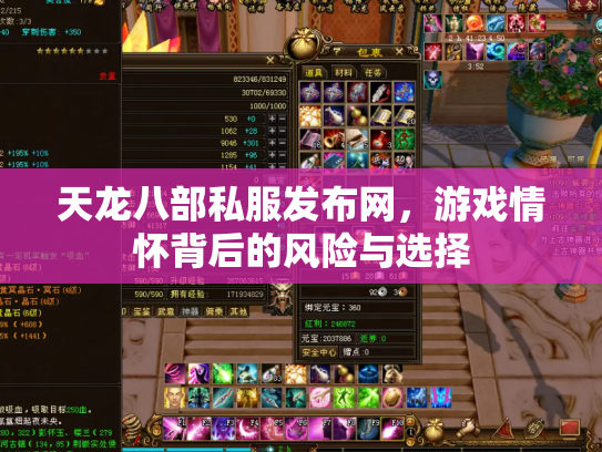 天龙八部私服发布网，游戏情怀背后的风险与选择