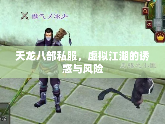 天龙八部私服，虚拟江湖的诱惑与风险