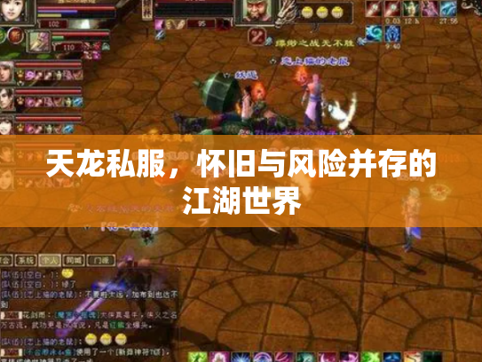 天龙私服，怀旧与风险并存的江湖世界
