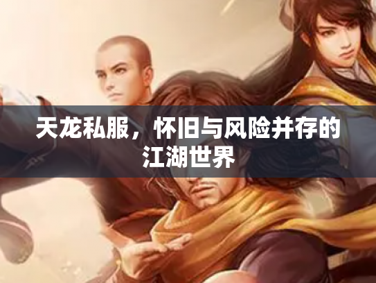 天龙私服，怀旧与风险并存的江湖世界