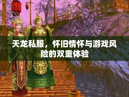 天龙私服，怀旧情怀与游戏风险的双重体验