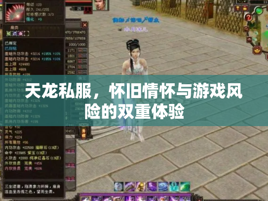 天龙私服，怀旧情怀与游戏风险的双重体验