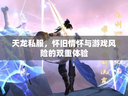 天龙私服，怀旧情怀与游戏风险的双重体验