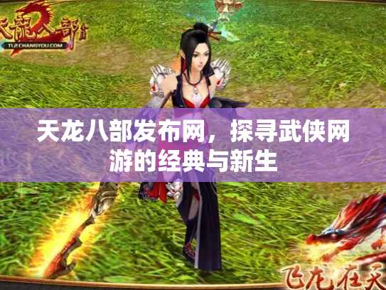 天龙八部发布网，探寻武侠网游的经典与新生