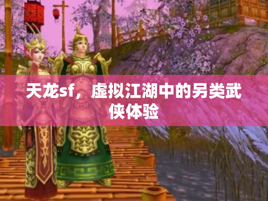 天龙sf，虚拟江湖中的另类武侠体验