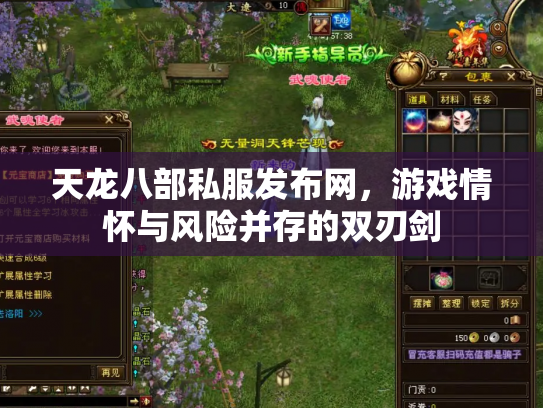 天龙八部私服发布网，游戏情怀与风险并存的双刃剑
