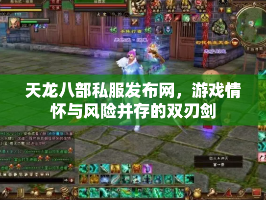 天龙八部私服发布网，游戏情怀与风险并存的双刃剑