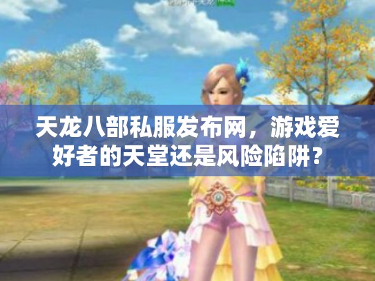 天龙八部私服发布网，游戏爱好者的天堂还是风险陷阱？
