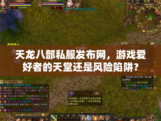 天龙八部私服发布网，游戏爱好者的天堂还是风险陷阱？