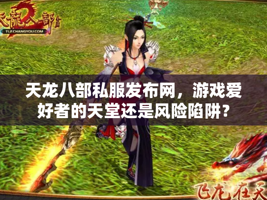 天龙八部私服发布网，游戏爱好者的天堂还是风险陷阱？